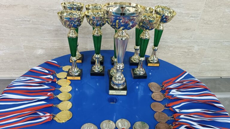 Подробнее о статье Чемпионат Тамбовской области по плаванию